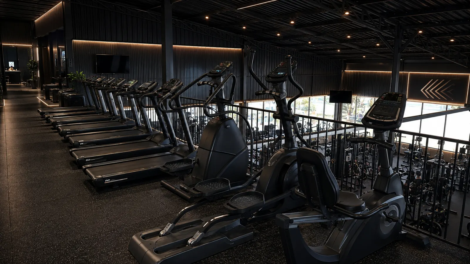 Row of treadmills and ellipticals on the cardio mezzanine