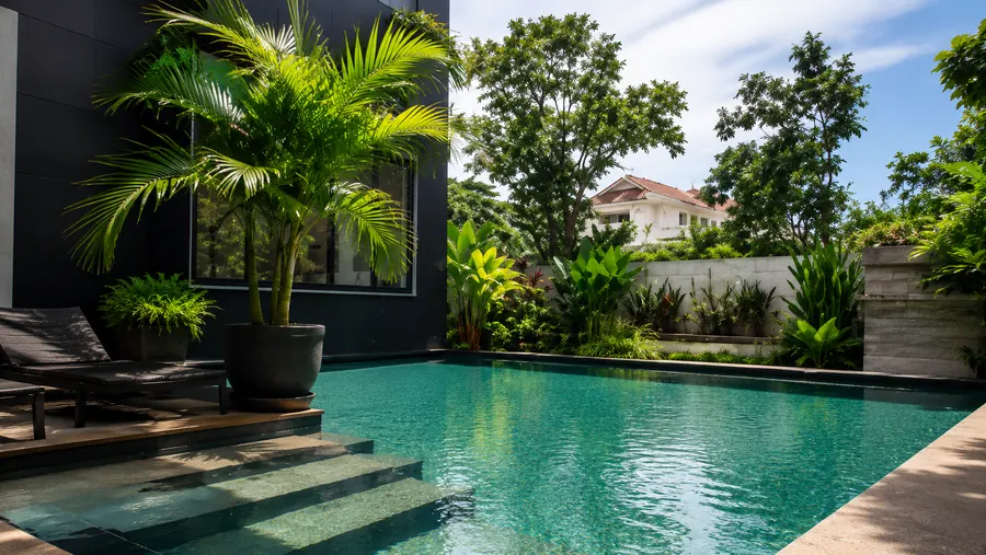 Outdoor pool surrounded by palms
